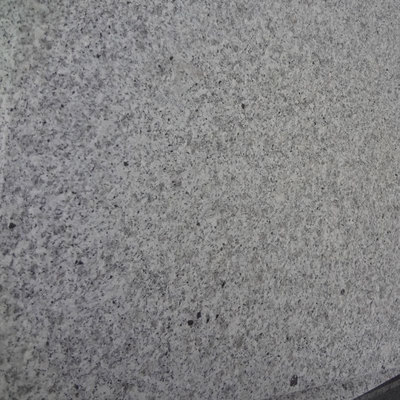 Cheap Price Gris Grey White Granite G602 G603 Granite Chinese Granite