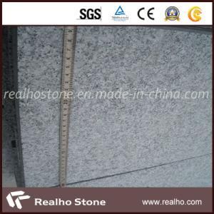 Stone Type Granite G603 Graite Slab for Sale