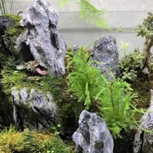 Wholesale Fish Tank Natural Dragon Stone Aquarium Decoration Rock
