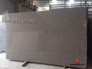G664 Bainbrook Brown Granite Slabs for Countertop &amp; Floor Tiles