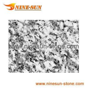 Blanco Perla Granite (YX-G513)