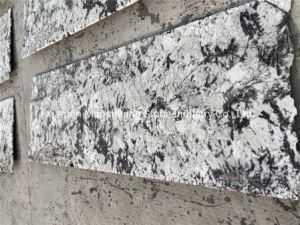 Natural Stone Splendor White Granite for Kitchen Tops/ Bar Tops