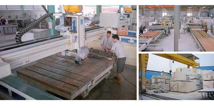 China Top Brown Granite/Golden Leaf /Brown Granite for Floor/Background