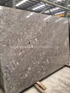 Bianco Antico Granite for Wall/Kitchen Tops/Floorings/ Decoration