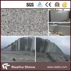 Own Quarry G603 Grey Granite with SGS Certificated (RHCA-011)