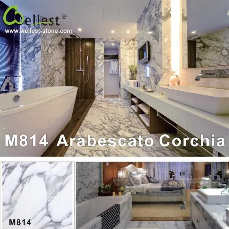 Different Beautiful Panda/Statuario/Carrara/Arabescato Corchia/Volakas White Marble for Hotel and Villa House