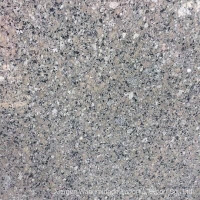 Grey and Smooth Surface with Star Granite for Building Interior Wall and Pillars