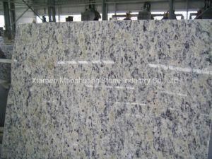 Santa Cecilia Light Granite