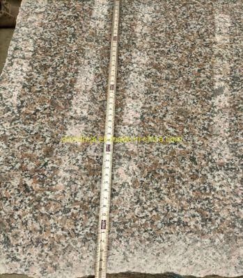Natural Cheap New G664 Brown Granite Tile Slab Staris Countertops