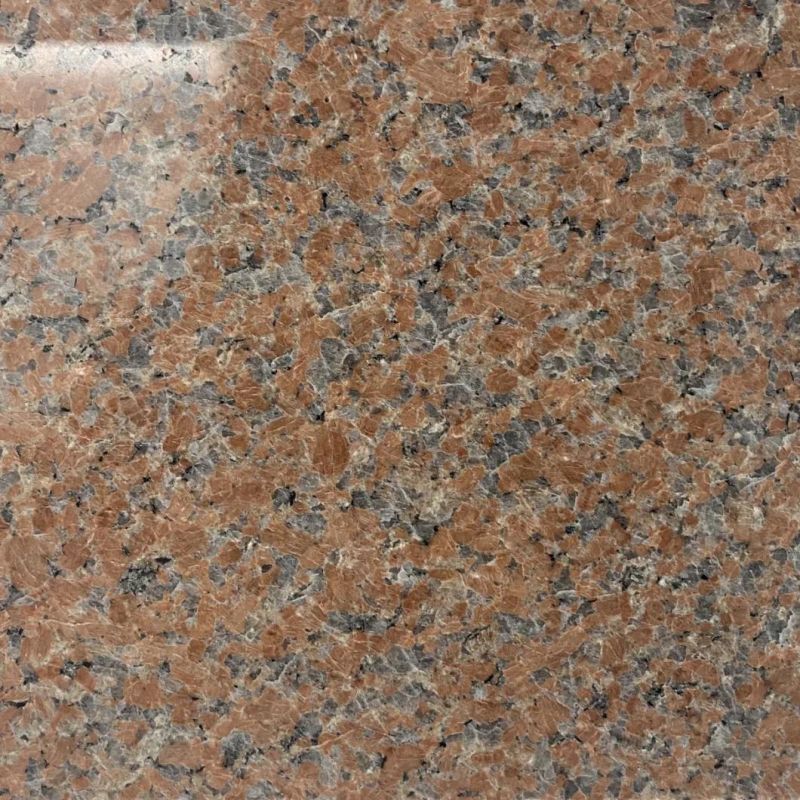 New Cheap Chinese Red and White Granite for Polished and Flamed Stone