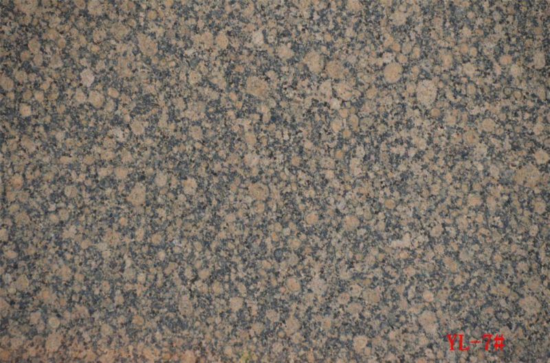 Hotsale Chinese Polished Mocha Gold Diamond Slabs