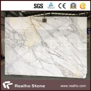Top Quality Italian Calcutta White Marble Slabs/Tiles for Sales