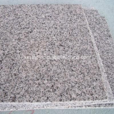 Light Grey / Flamed G603 Granite Tiles for Floor /Paving