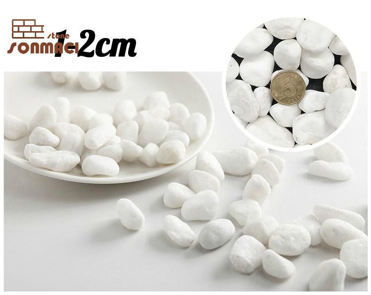 Garden Decoration White Polished Pebble Stone