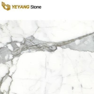 Calacatta Marble White Marble for Villa Living Room Floor Tiles