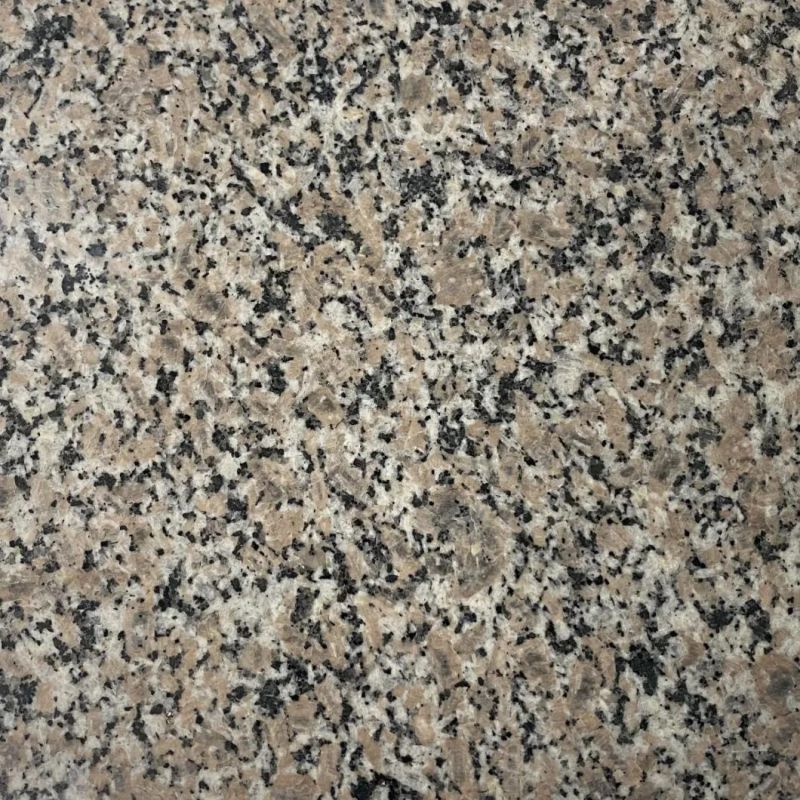 Natural Stone Slab Kitchen Countertop Granite Top/Worktop/Table