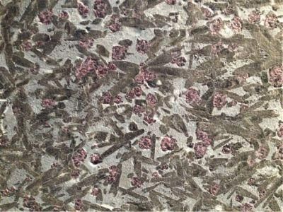 Gem Brown Polished Marble Slabs for Interior Flooring Wall Decoration