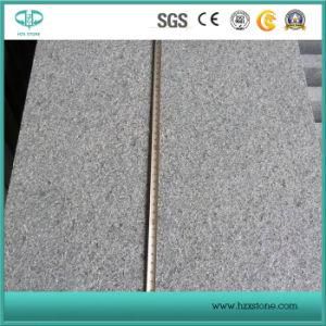 Black Chinese Granite G684 Stone Tile, Natural Stone