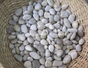 Natural Polished White Pebbles for Paving