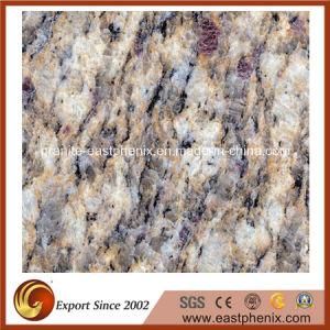 Imported Giallo Cecilia Granite Tile for Wall/Floor Tile
