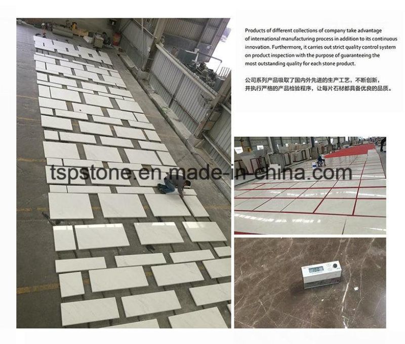 Natural Granite Stone Table for Graden Table