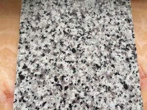 Swan White Granite for Wall and Floor Tile