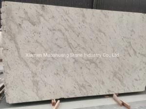 Exclusive Popular White Granite for Countertop Vanity Top and Floors
