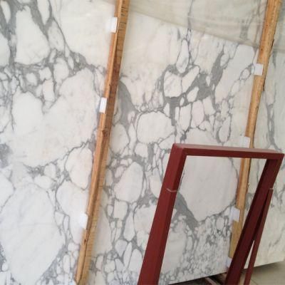 Natural Stone Calaeatta White Marble for Home/Kitchen Decoration