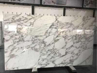 Italian White Marble Statuarietto/Calacutta Gold Slabs/Countertop/Flooring