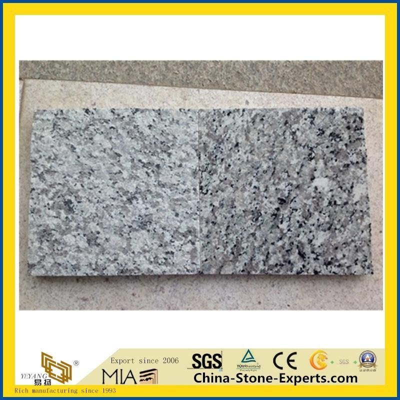 White/Grey Granite Countertops/Countertop for Wall/Flooring/Kitchen/Bathroom/Hotel Project