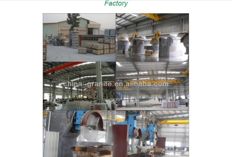 China Factory Price Natural Granite Stairs Steps High Quality Building Materials