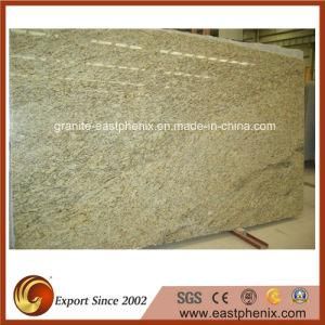 Imported Glallo Ornamental Granite Slab