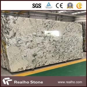 India Colonial White Granite for Kitchen Countertop Bathroom Vanity Top
