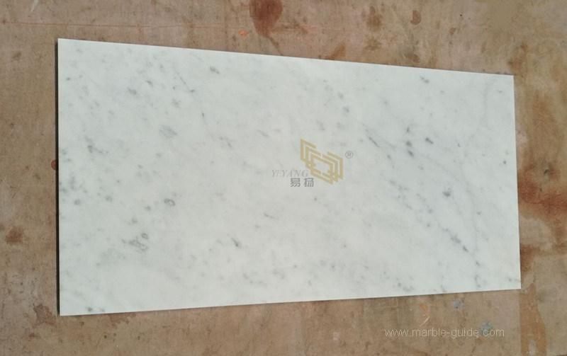 Bianco Carrara White Marble Tiles for Flooring/Wall/Bathroom/Kitchen/Backsplash Factory Price