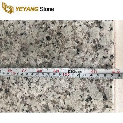 Natural Granite Stone Slab/Tile/Countertop/Worktop Black/White/Brown/Grey Granite Wholesale
