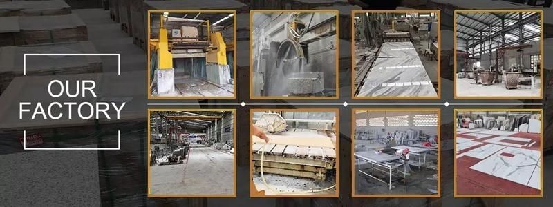 Black and White Polished Natural Panda Marble for Interior Wall Cladding and Flooring