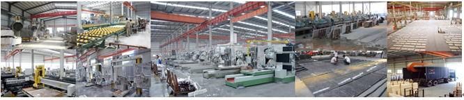 High Quality Natural White/Black/Yellow/Rusty Yellow/Grey/Silver Quartzite Slate Culture Stone
