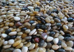 Colorful Natural River Cobble &amp; Pebble Stone for Landscape / Garden Paving