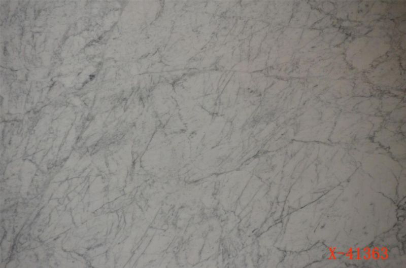 Snow White Marble Slabs, Marble Countertops, Marble Tiles and Marble