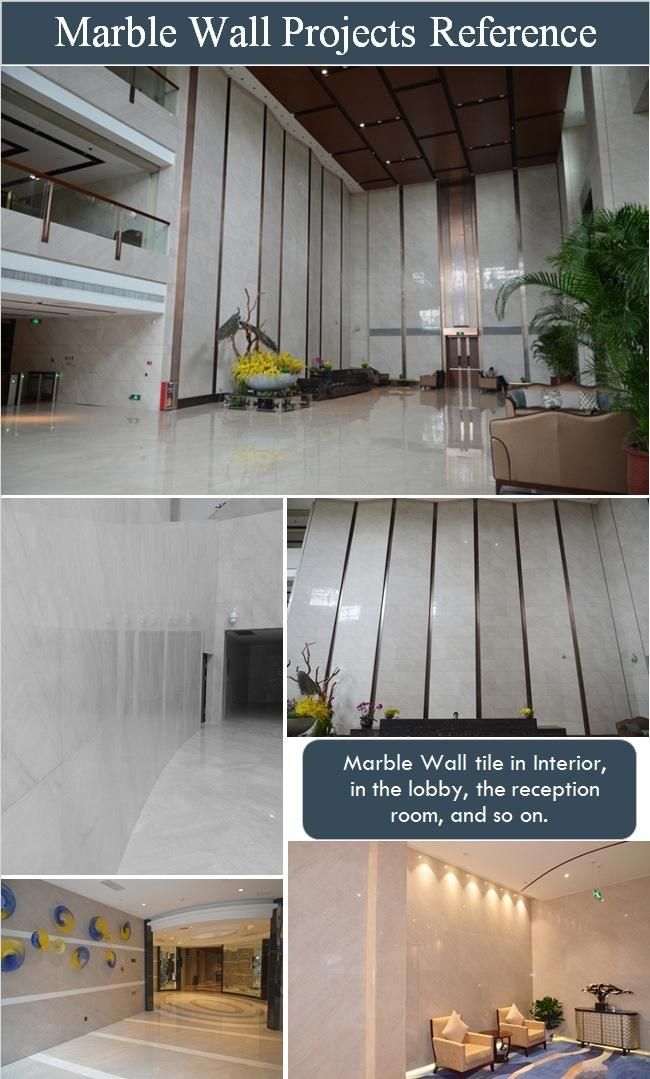 Pre-Assemble Reliable Service Natural Stone Arabescato White Marble