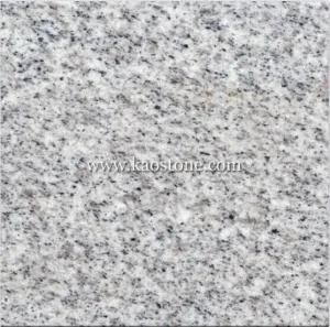 Sesame White Granite Tiles -G365
