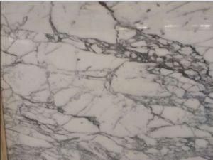 Calacata Marble White Price/ Top Quality Calacata From Itay