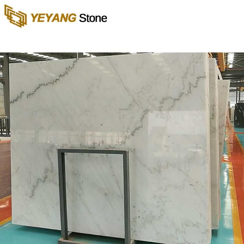 White Marble (With Black Veins) Slabs for Background Wall/Flooring/Walling
