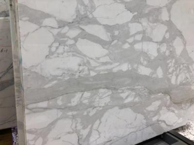 Calaeatta / Arabescatocorchia White Marble for Slabs Tiles Background Wall
