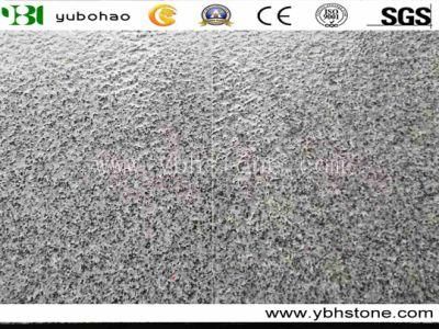 New G654 Alternative/Flamed Granite Tiles for Paving Brick/Garden Stepping Stone