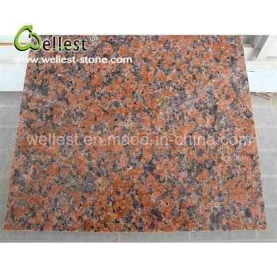 Wholesale Factory Customized Polished Wall Tiles G562 Maple Red Granite for House