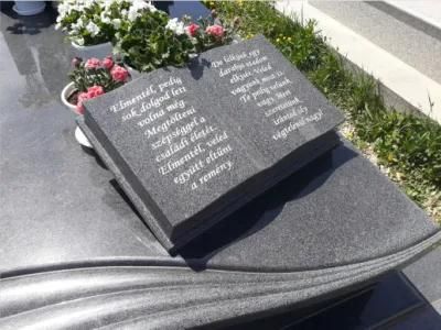 Black/Grey/Dark Grey/Pink Color Granite Open Book Tombstone with Different Designs