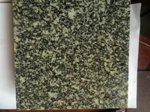 Chinese Granite Flos Green for Flooring Tiles/Building Materials