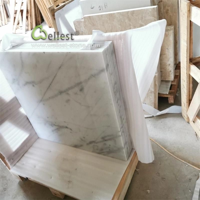 Elegant White with Vein Marble Tile with Honed Finishing