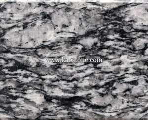 Popular Countertop Brazil Granite for Slabs/Vanity Top/Work Top